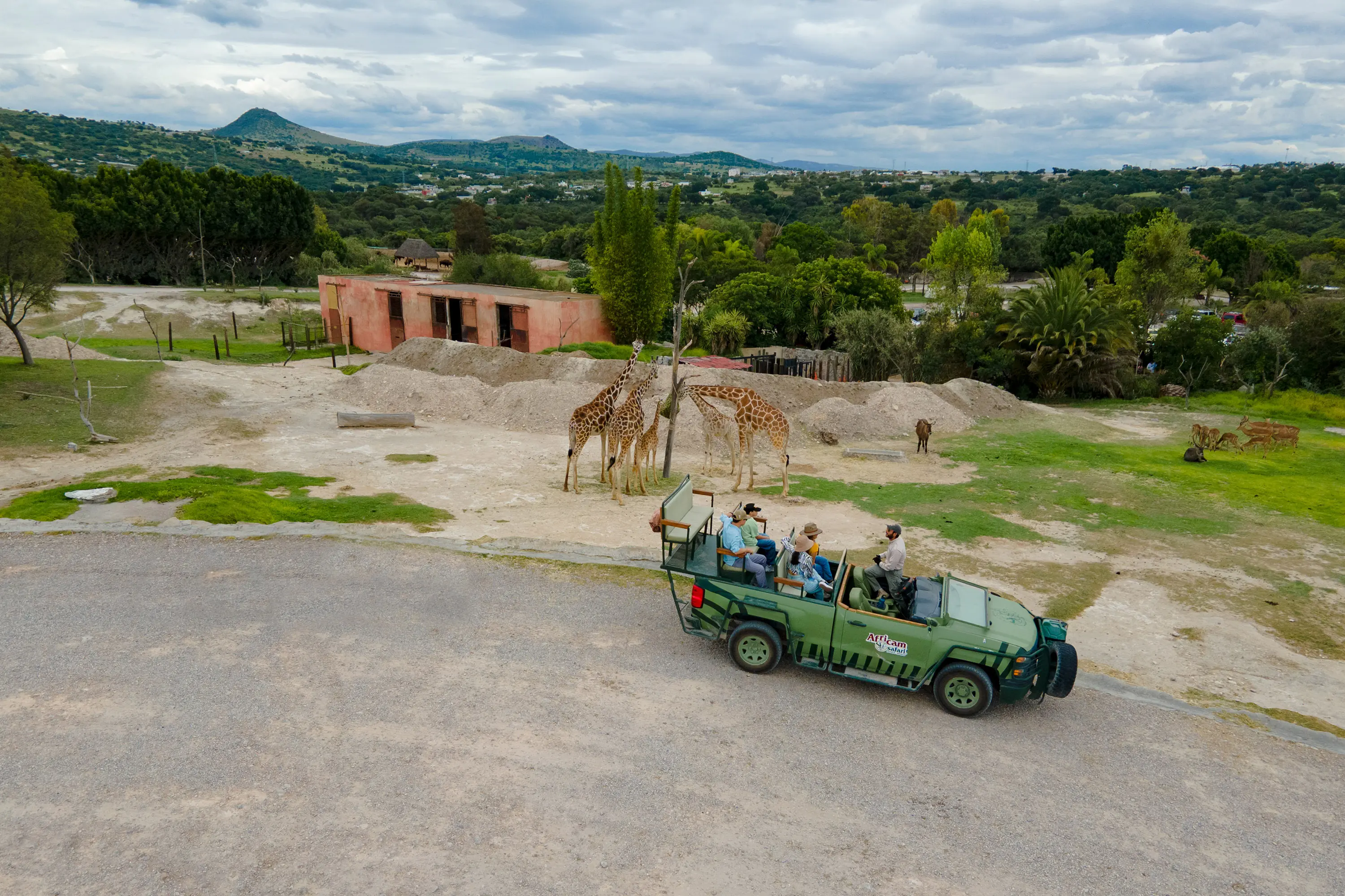 Africam Safari
