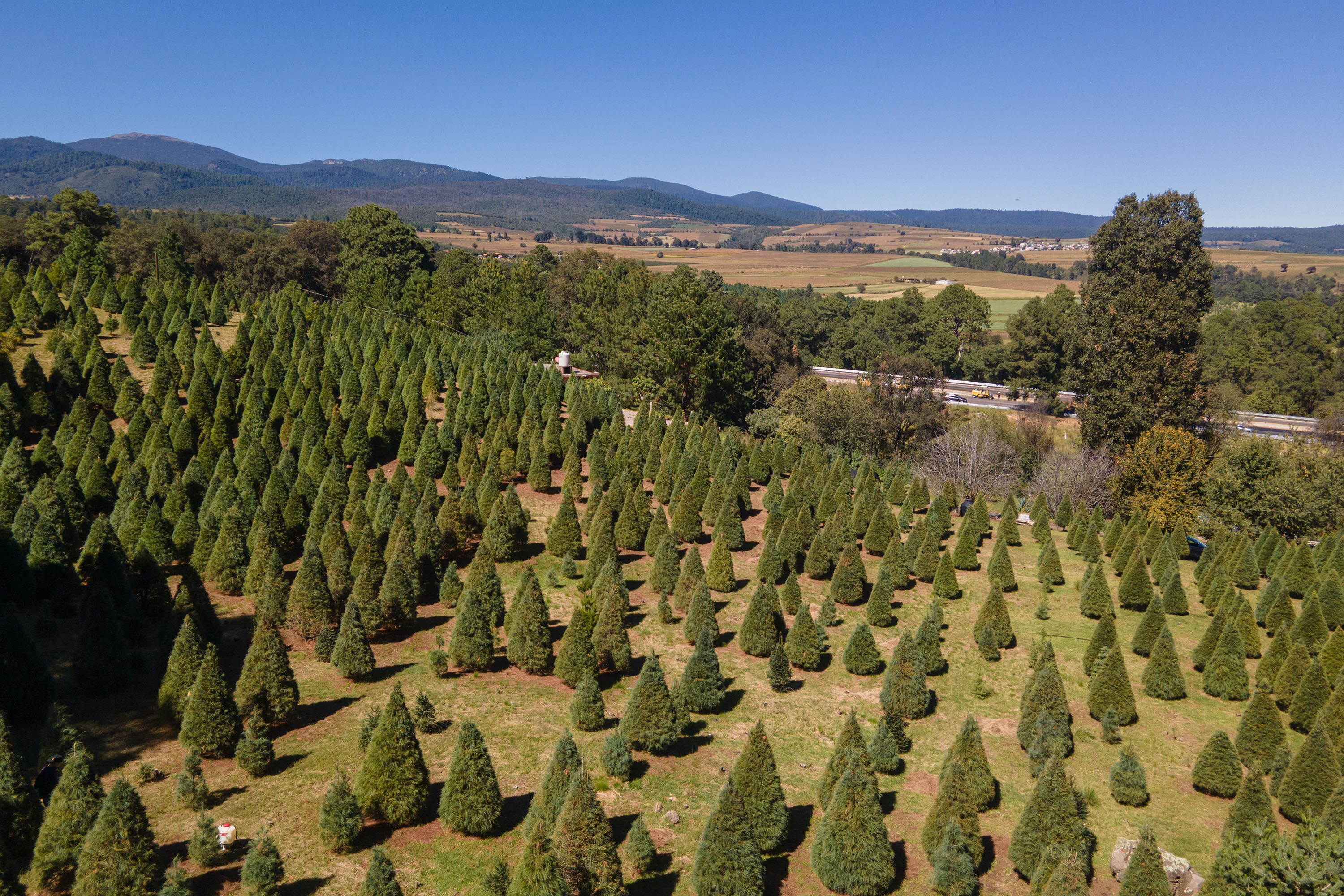 1764869309614_f0k14blgdlo