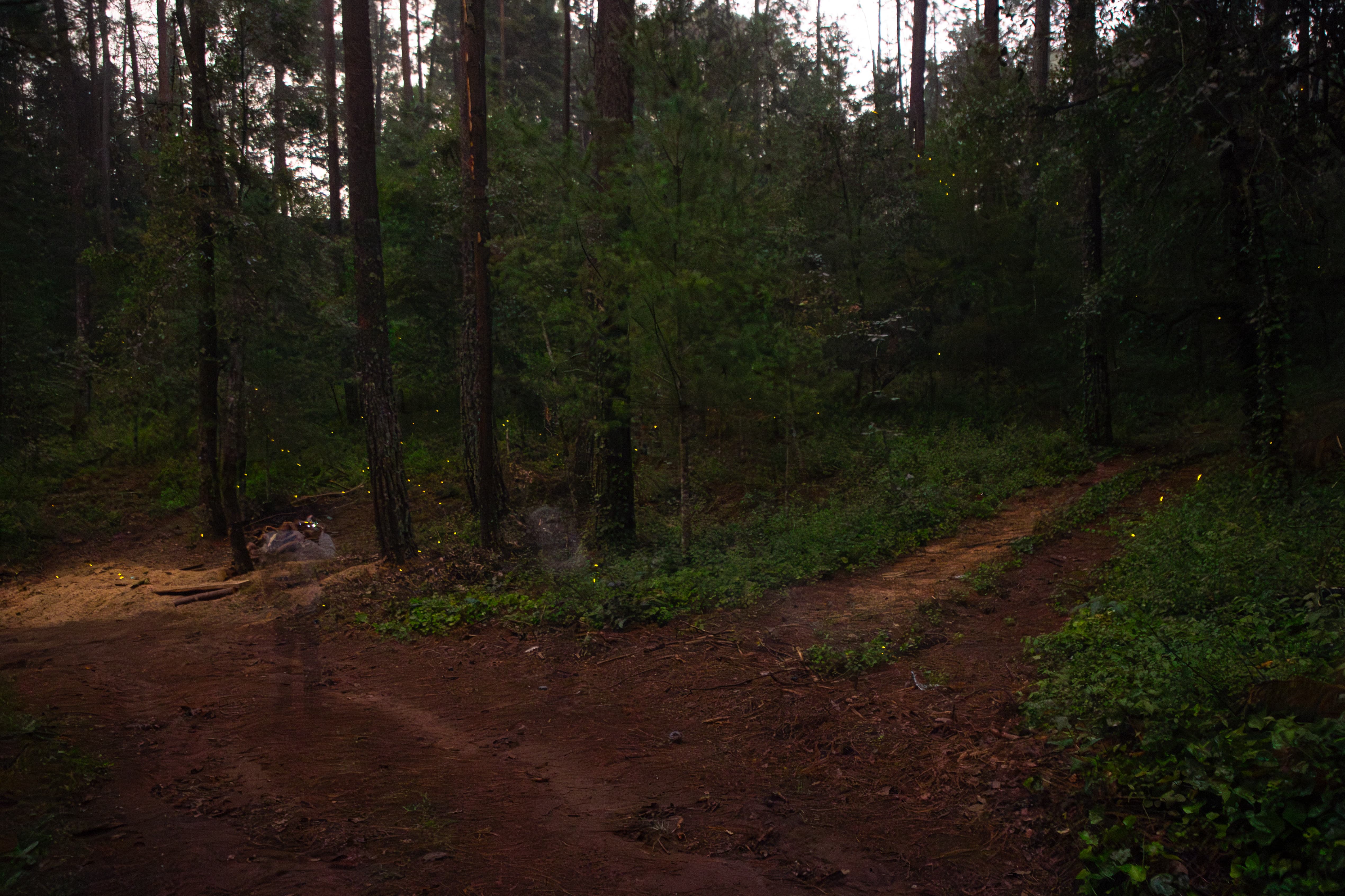 _MG_4566-SC (1)