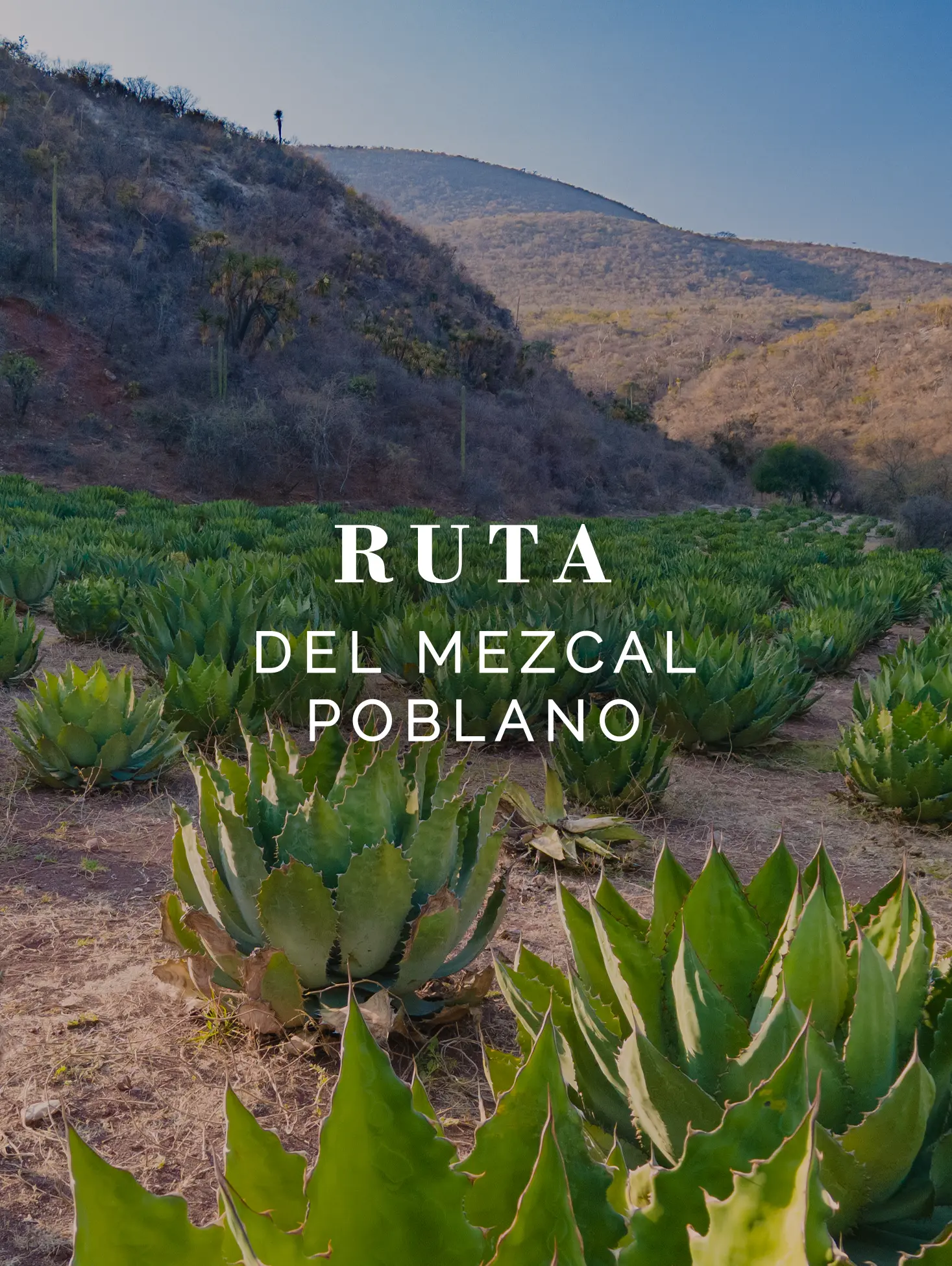 Ruta del Mezcal Poblano